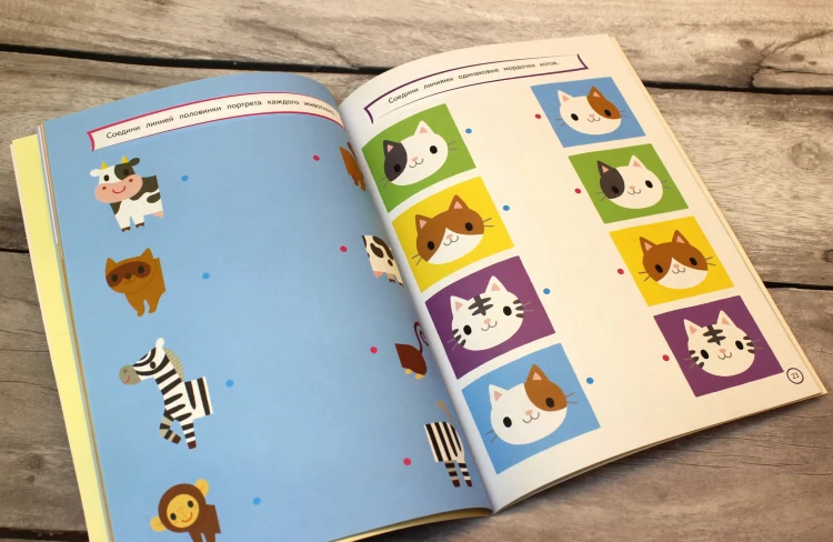 Развиваем логическое мышление: для детей 4–5 лет (с наклейками)