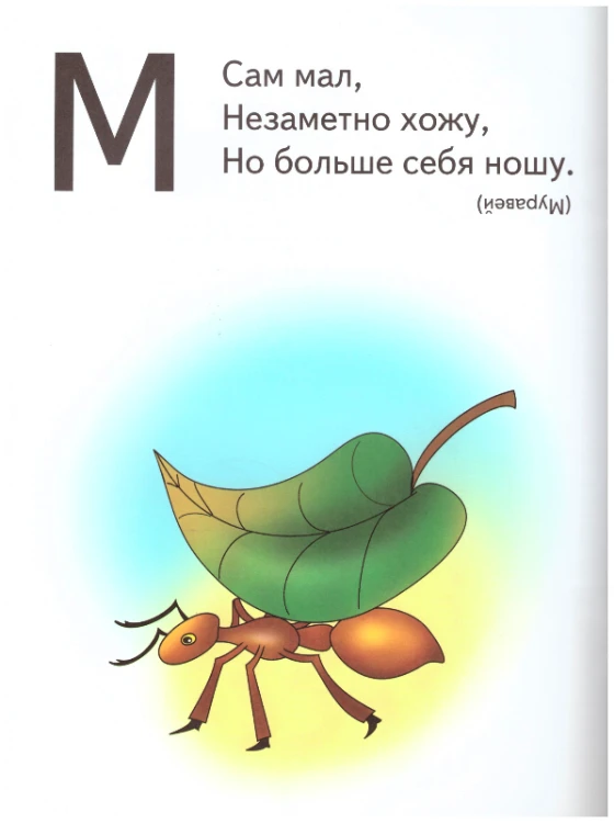 Загадки-раскраски_с_калькой_3.jpeg