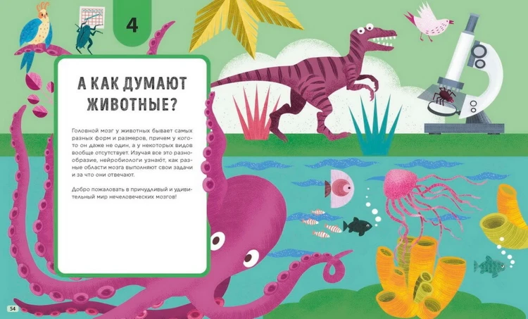 Его величество мозг. Все самое интересное о работе мозга людей, животных и роботов