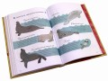 Анатомия природы. Занимательные детали мира природы