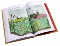 Анатомия природы. Занимательные детали мира природы