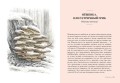 Грибы: Обитатели скрытого мира