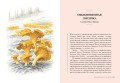 Грибы: Обитатели скрытого мира