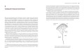 Приключения среди муравьев. Путешествие по земному шару с триллионами суперорганизмов