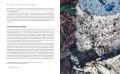 Приключения среди муравьев. Путешествие по земному шару с триллионами суперорганизмов