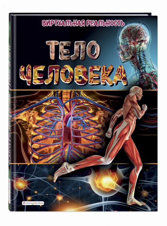 Тело человека. Виртуальная реальность
