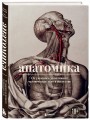 Анатомика. От ужасного до великого: человеческое тело в искусстве