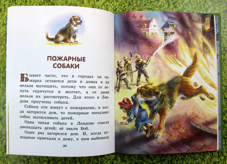 Сказки и рассказы (ил. В. Канивца)
