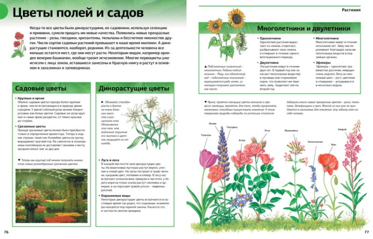 Новая энциклопедия школьника