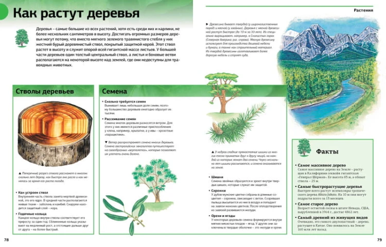 Новая энциклопедия школьника
