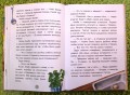 Эдди спасает Крумпфбург. Самый смелый тролль (ил. Б. Кортуэс) (#5)