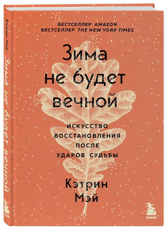 Зима не будет вечной. Искусство восстановления после ударов судьбы