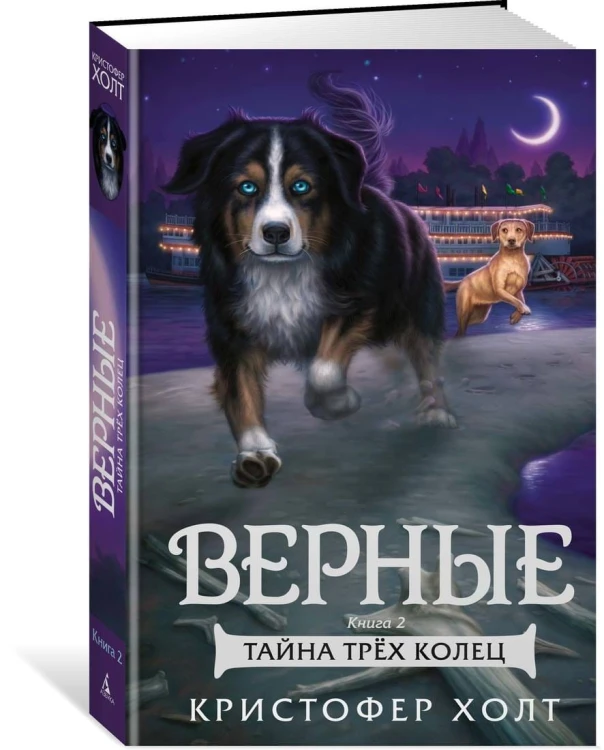 Верные. Книга 2. Тайна трёх колец