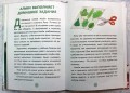 Эдди обнаружен. Самый неуклюжий тролль (ил. Б. Кортуэс) (#2)