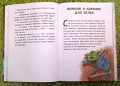 Эдди учится нырять. Самый удачливый тролль (ил. Б. Кортуэс) (#4)