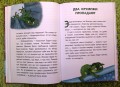 Эдди учится нырять. Самый удачливый тролль (ил. Б. Кортуэс) (#4)