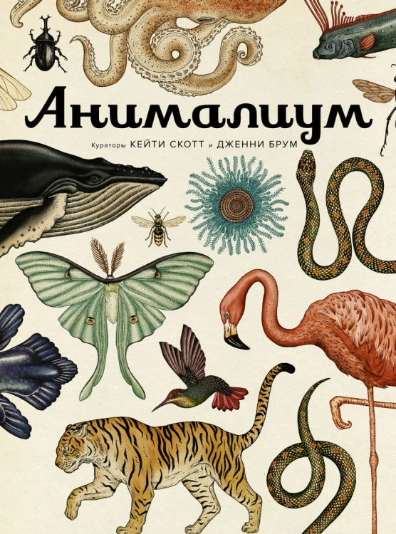 Анималиум