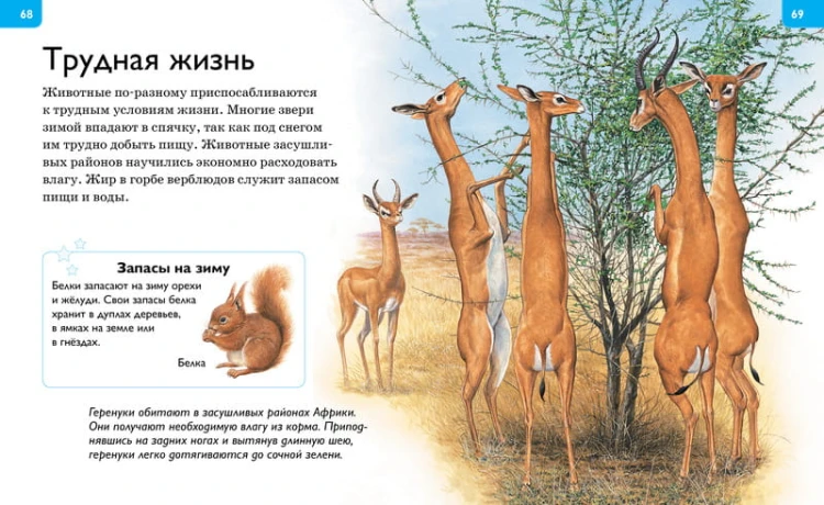 Большая энциклопедия для любознательных