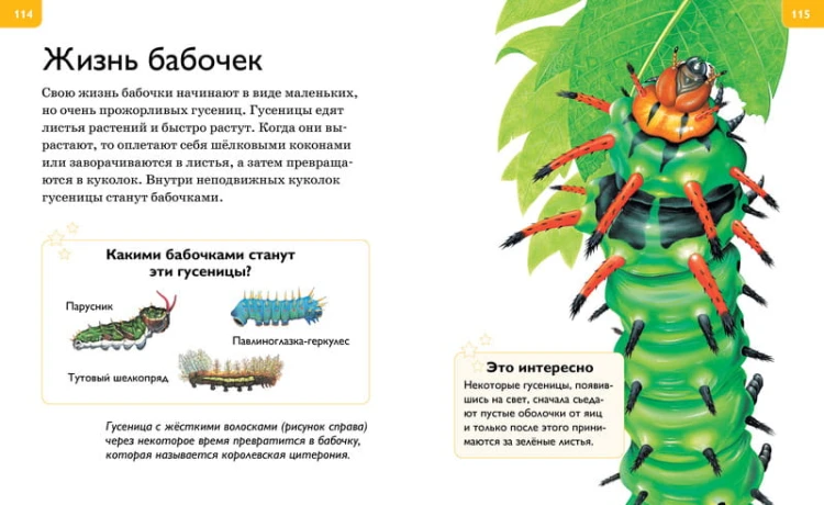 Большая энциклопедия для любознательных