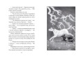 Верные. Книга 4. Дорога к дому