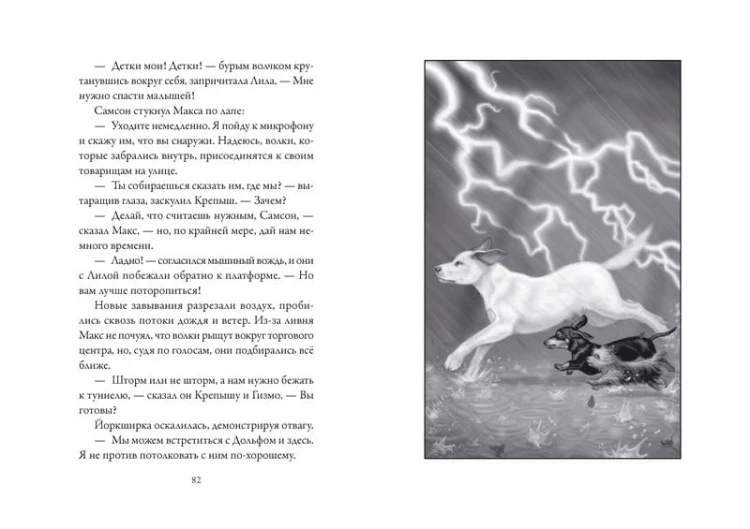 Верные. Книга 4. Дорога к дому