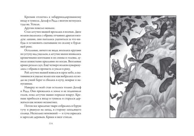Верные. Книга 4. Дорога к дому