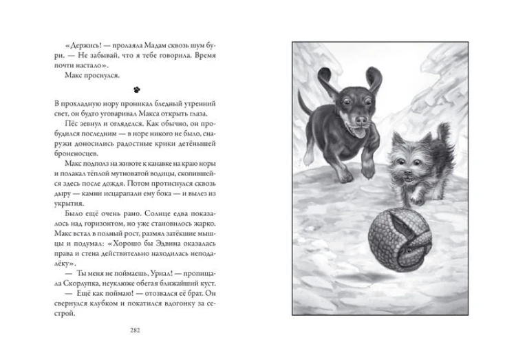 Верные. Книга 4. Дорога к дому