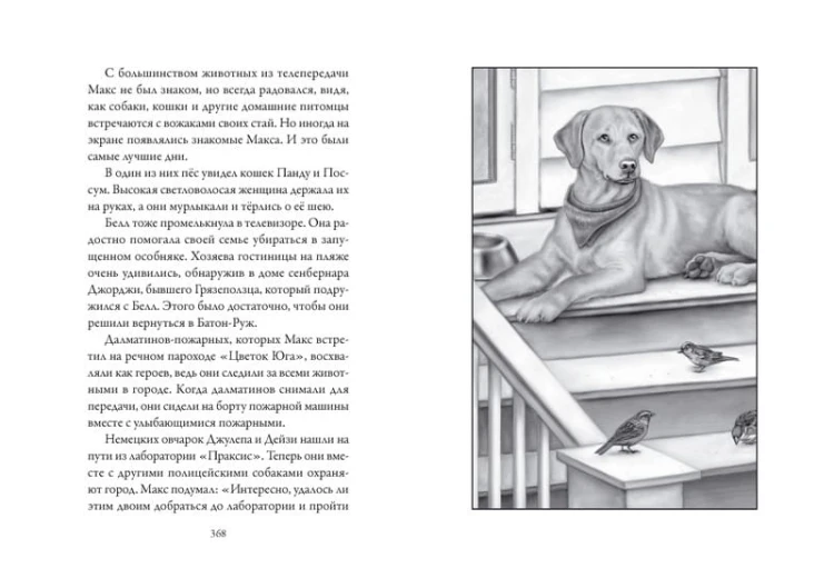 Верные. Книга 4. Дорога к дому