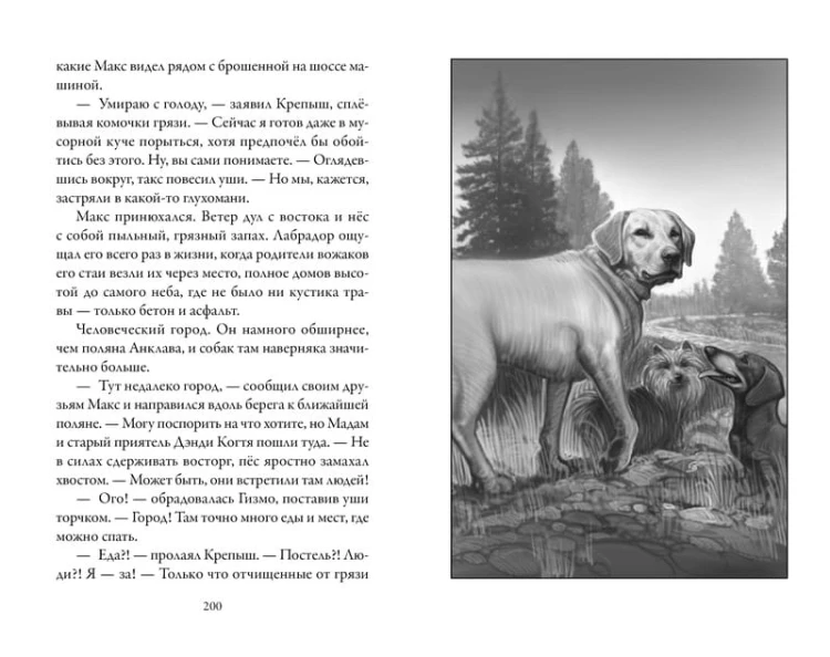 Верные. Книга 1. Когда исчезли все люди