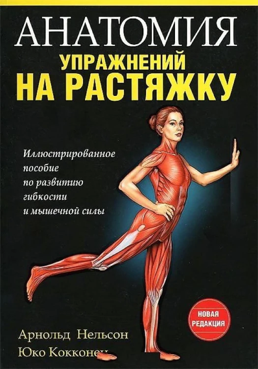 Анатомия упражнений на растяжку