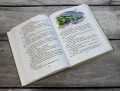 Мишкина каша. Рассказы (ил. В. Канивца)