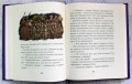 Последняя битва (цв. ил. П. Бэйнс)