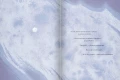 Снежинка3.webp