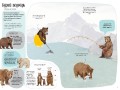 Ведмежа книга