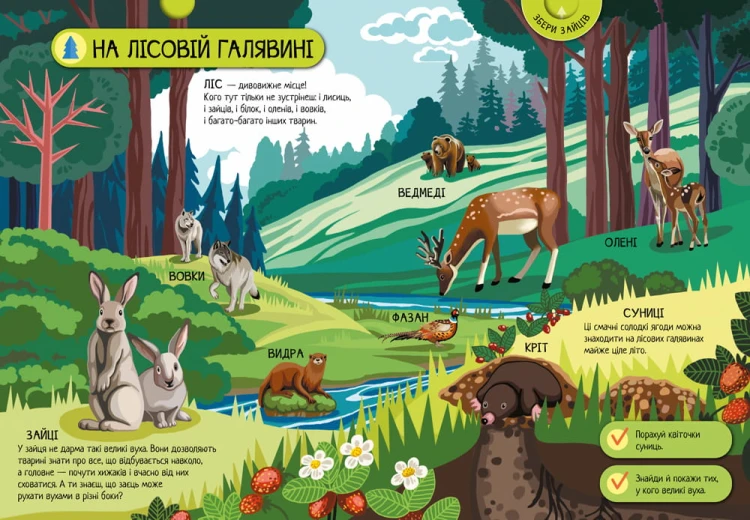 Тварини лісу