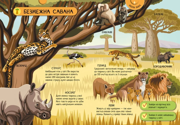 Тварини світу
