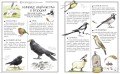 Boys’ Book. Підручник відважного мандрівника 3.jpg