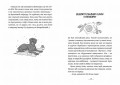 Емі і Таємний Клуб Супердівчат. Книга 16.jpg
