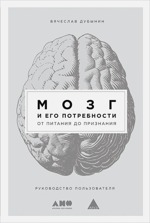 Мозг и его потребности- От питания до признания.webp