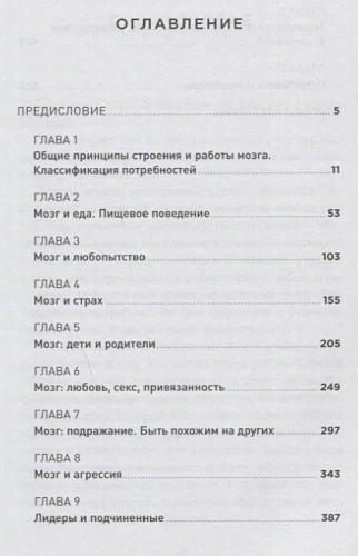 Мозг и его потребности- От питания до признания1.webp