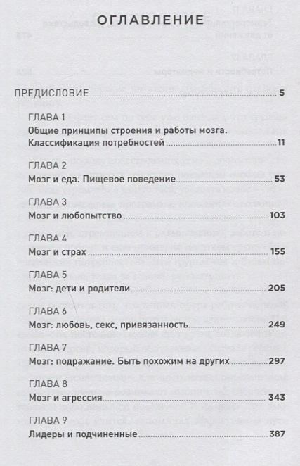 Мозг и его потребности- От питания до признания1.webp