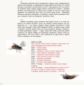 Привіт, землянине!4.jpg