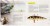 Як змайструвати літак4.jpg