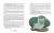 36 і 6 котів-компаньйонів. Книга 35.jpg