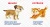 Домашние животные3.webp