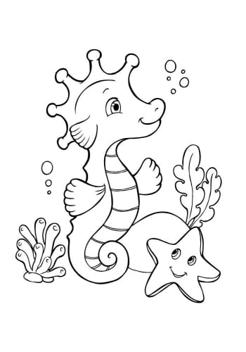Море