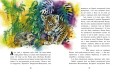 Казки далеких країн