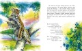 Казки далеких країн