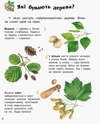 Ліс