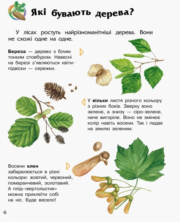 Ліс